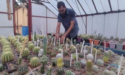 ক্যাকটাস চাষে সার্জেন্ট রাসেলের সাফল্য