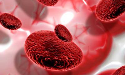 বাহকে বাহকে বিয়ে বন্ধই প্রতিরোধের উপায়