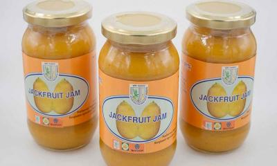 কাঁঠাল দিয়ে হবে আইসক্রিম চিপসসহ ১২ পণ্য