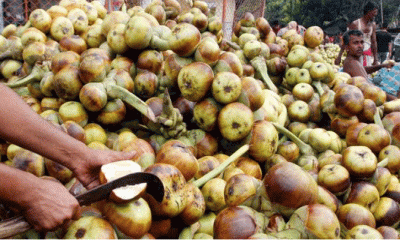 সোনারগাঁয়ে জমে উঠেছে তালের বাজার