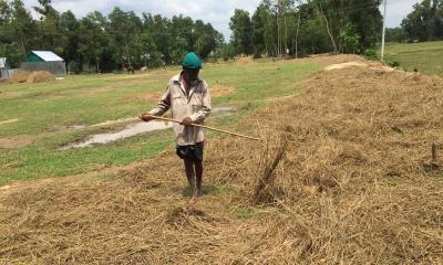 খড় শুকাতে ভরসা বাঁশকুঠা