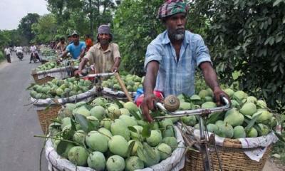 কৃষি খাতে প্রযুক্তির ছোঁয়া