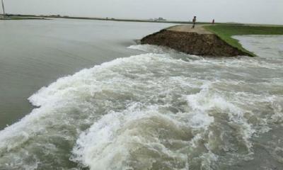 ছায়ার হাওরের বাঁধ ভেঙে ঢুকছে পানি