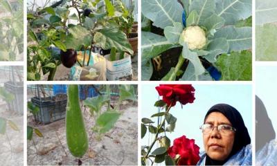 প্রাথমিক বিদ্যালয়ের প্রধান শিক্ষিকার ছাদ বাগান