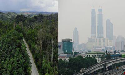 জাকার্তাকে বাদ দিয়ে জঙ্গলকে রাজধানী বানাল ইন্দোনেশিয়া