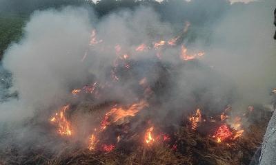 ঝিনাইদহে বজ্রপাতে ধান ক্ষেতে আগুন