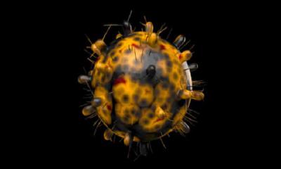 দেশে আরও ৯ জনের শরীরে ওমিক্রন শনাক্ত