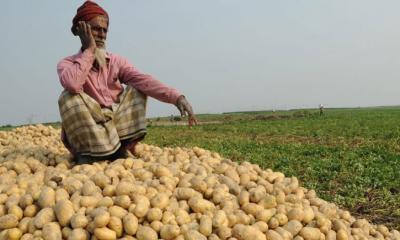 এবার বাড়ানো হলো আলুর দাম