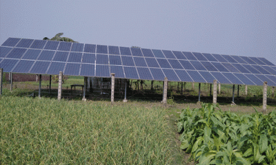 সৌরবিদ্যুত চালিত সেচপাম্পে সবুজ বিপ্লবের সম্ভাবনা