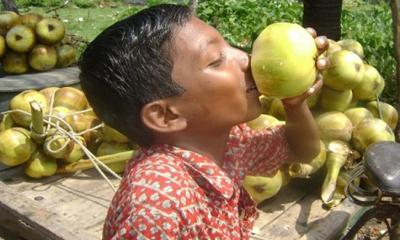 তালের শাঁসে যত উপকারিতা