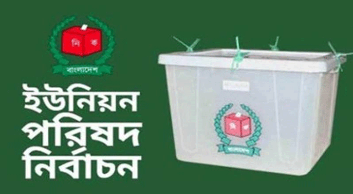 নোয়াখালীতে ১২ ইউনিয়নে আ.লীগ, ৭টিতে জয় পেল স্বতন্ত্র প্রার্থী