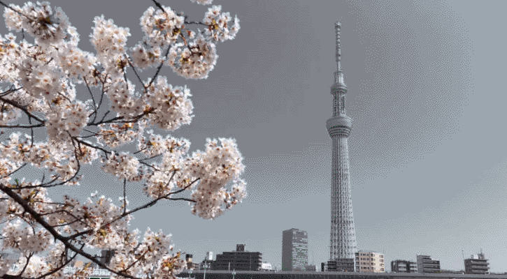 বাংলাদেশসহ ১০৬ দেশের ওপর ভ্রমণ নিষেধাজ্ঞা প্রত্যাহার জাপানের