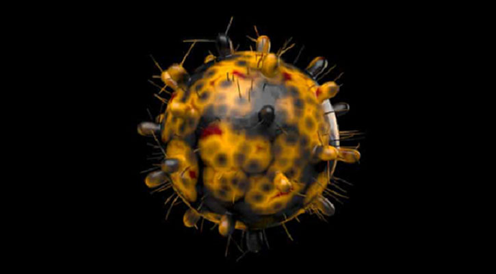 দেশে আরও ৯ জনের শরীরে ওমিক্রন শনাক্ত