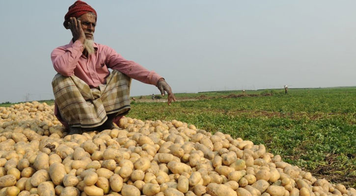 এবার বাড়ানো হলো আলুর দাম