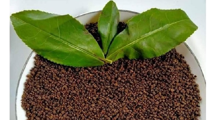 ত্বক ও চুলের যত্নে চা পাতার অবাক ব্যবহার