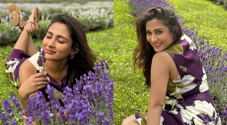 ল্যাভেন্ডার ফুলের মাঝে স্নিগ্ধ লুকে মেহজাবীন