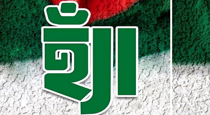 গণভোটে ‘হ্যাঁ’ জিতলে যা ঘটতে পারে!