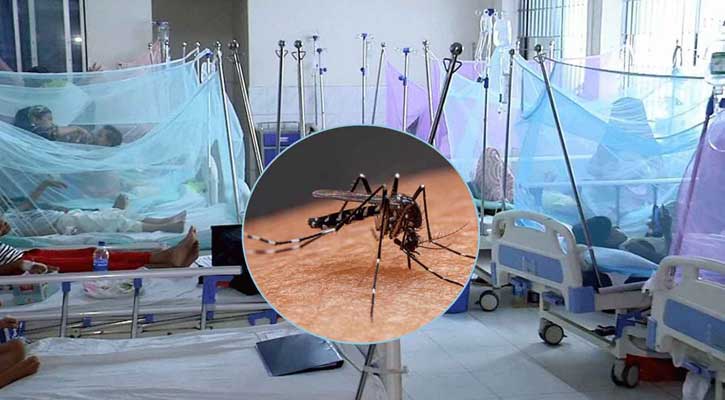 ভয়াবহ রূপ ধারণ করেছে ডেঙ্গু: রেকর্ড আক্রান্ত, প্রাণহানি আরও ৭