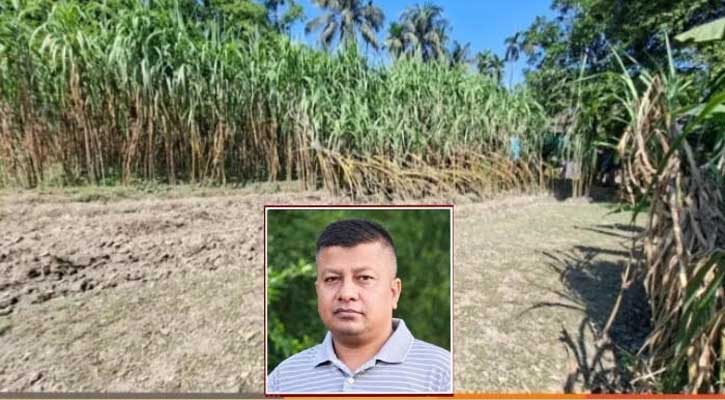 রূপগঞ্জে ১০ লাখ টাকা চাঁদা দাবি, আখখেত নষ্ট করার অভিযোগ