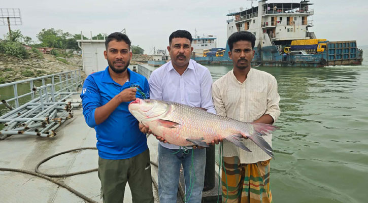 ২৫ কেজির কাতলের দাম ৪২ হাজার টাকা