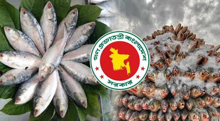 ভারতে ইলিশ পাঠাতে রাজি হবে কী বাংলাদেশ? 
