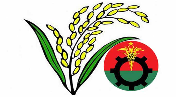 জোট হলেও শরিকদের ধানের শীষ প্রতীকে আপত্তি বিএনপির