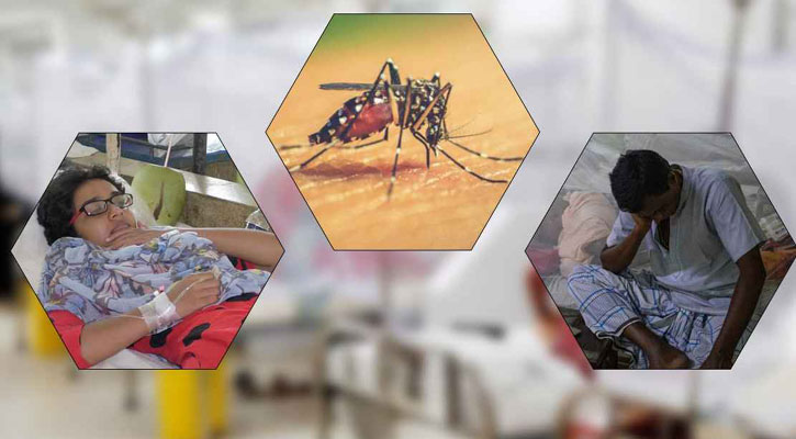 ডিসেম্বরে ডেঙ্গু পরিস্থিতি ভয়াবহ বিপর্যয়ের শঙ্কা