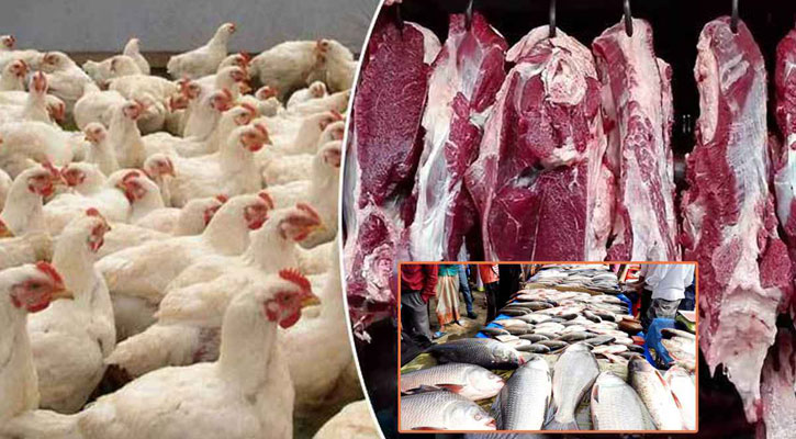 মাছ-মাংসের বাজার স্থিতিশীল, কিছুটা কমেছে ব্রয়লার দাম