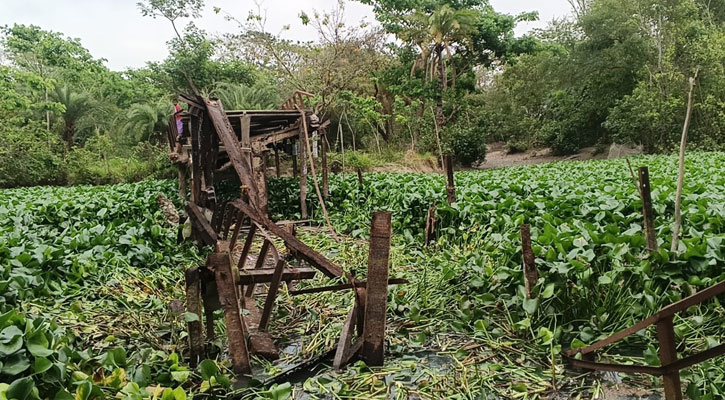 ব্রিজ ভেঙে খালে, তালতলীতে বিচ্ছিন্ন জনপদ