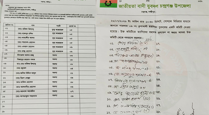 টাকার বিনিময়ে প্রবাসীদের দিয়ে যুবদলের কমিটি, ১৬ নেতার পদত্যাগ