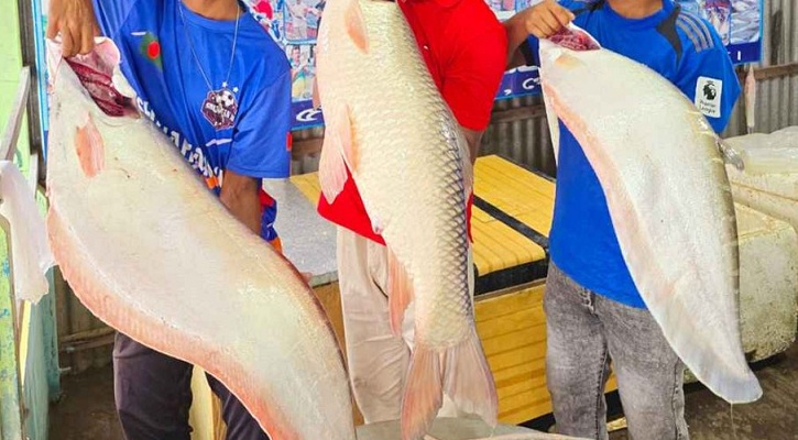 এক রুই ও দুই চিতল মাছের দাম ৮৯ হাজার টাকা!