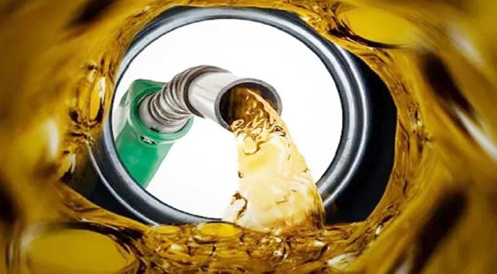 জ্বালানি তেল নিয়ে সুখবর দিলেন জ্বালানিমন্ত্রী টুকু