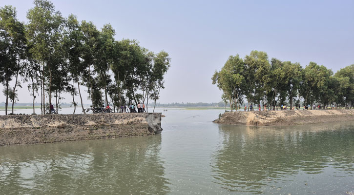 তিস্তা সেচ ক্যানেলের বাঁধ ভেঙে শতাধিক একর ফসল প্লাবিত