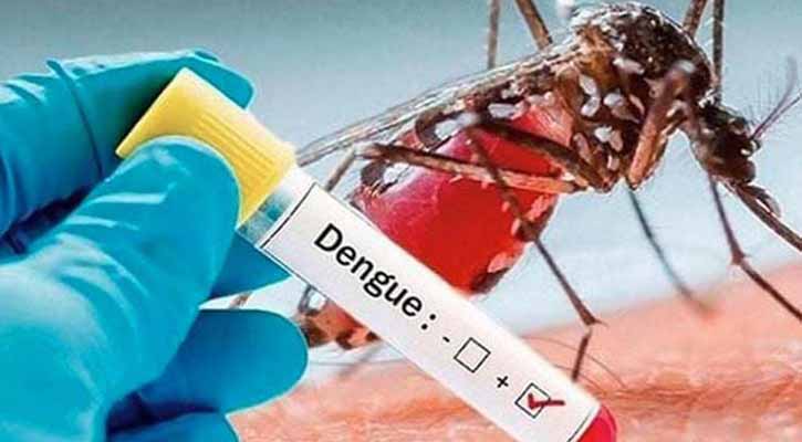 ডেঙ্গুর ভয়াবহ পরিস্থিতি: ২৪ ঘণ্টায় নতুন ভর্তি ও মৃত্যু সংখ্যা প্রকাশ