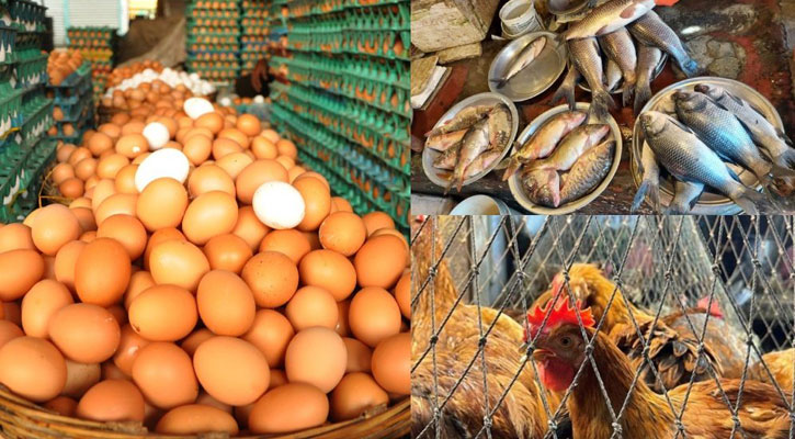 মাছ-মুরগির বাজার স্থিতিশীল, কমেছে ডিমের দাম