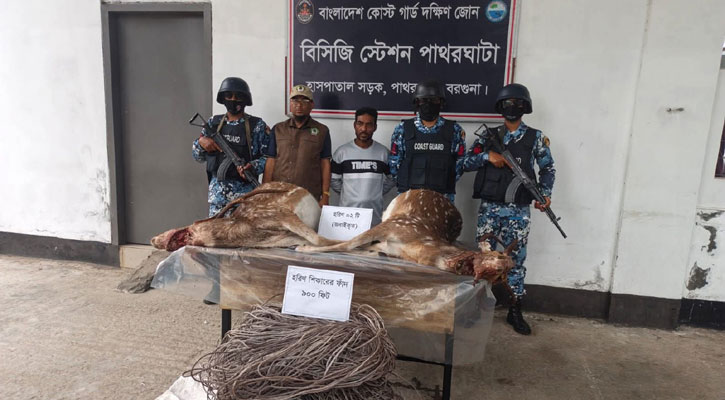 হরিণ শিকারে গ্রেপ্তার, স্বামীকে তালাক স্ত্রীর