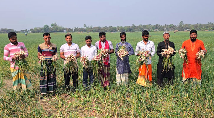 বিষ প্রয়োগে ৬ বিঘা জমির পেঁয়াজ নষ্ট, কৃষকের সঙ্গে এ কেমন শত্রুতা!