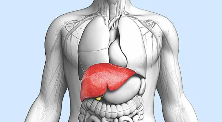 যে এক খাবারে আপনার লিভার নষ্ট হচ্ছে, সেটি কী?