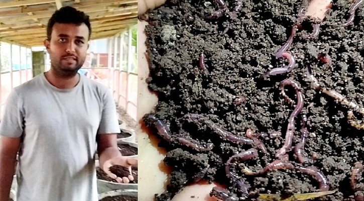 মাসে ৪০-৫০ মন কেচো সার উৎপাদন করে ফরহাদ