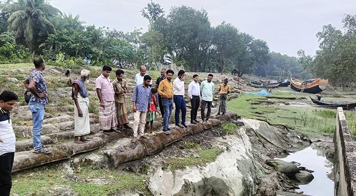 বরগুনায় ষাটের দশকে নির্মিত বেড়িবাঁধ, স্লুইস এখন গলারকাঁটা 