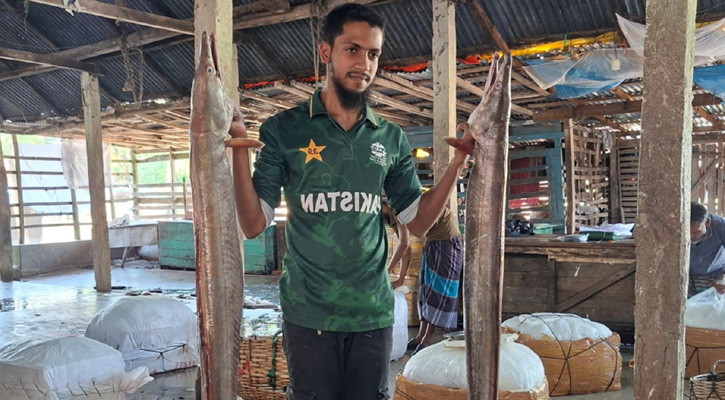 পাথরঘাটায় বিলুপ্তপ্রায় বাইম মাছের হঠাৎ আগমন, ২ লাখ টাকায় বিক্রি