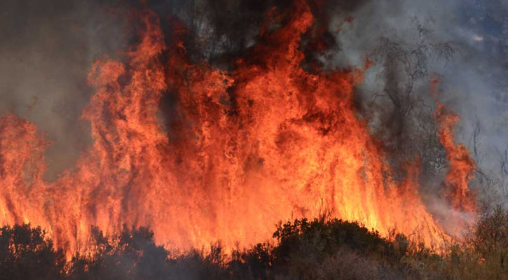 ক্যালিফোর্নিয়ায় দাবানলে পুড়েছে ৭২ হাজার এলাকা