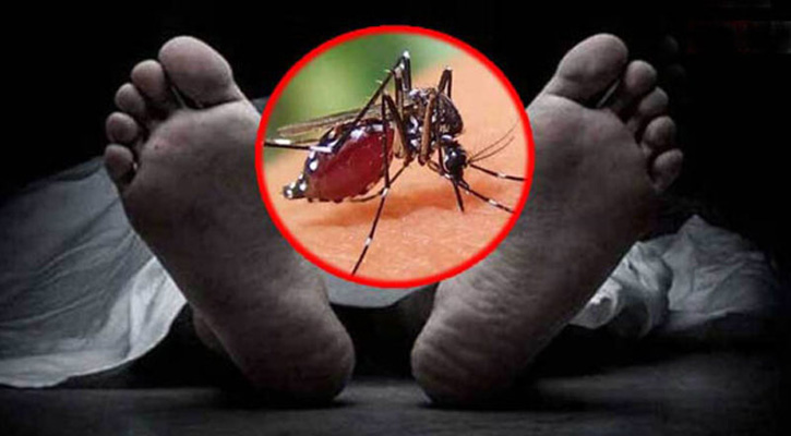 ডেঙ্গুতে মৃতদের অর্ধেকই তরুণ, যা বলছেন বিশেষজ্ঞরা