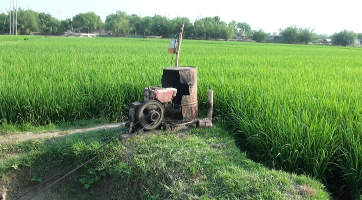 তেল সংকটে সেচ ব্যাহত, ঝুঁকিতে বোরো ফসল