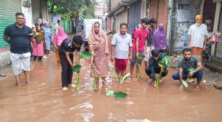 সামান্য বৃষ্টিতেই হাঁটুপানি, বেহাল সড়কে কচুগাছ লাগিয়ে প্রতিবাদ