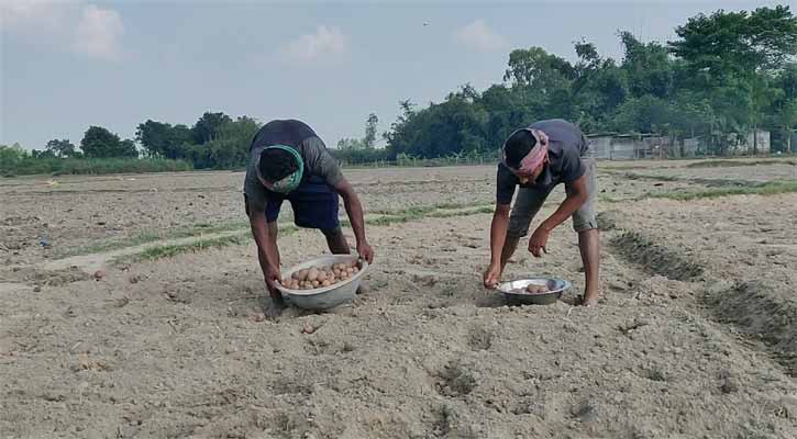 Oilaviy er-xotin qizni porno jinsiy aloqaga taklif qilishdi