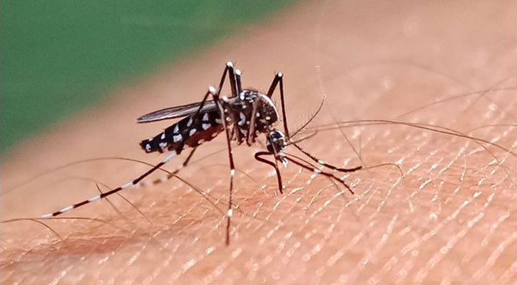 ডেঙ্গুতে হঠাৎ একদিনেই ৮ জনের মৃত্যু