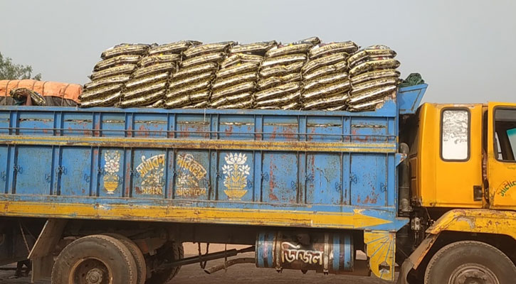 আমদানি বন্ধের অজুহাতে হঠাৎ বাড়ল চালের দাম