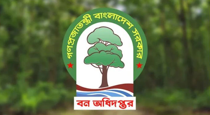 দুর্নীতি করলে শাস্তি নয়, বরং পদোন্নতি, অনিয়মেও ‘ওপেন সিক্রেট’