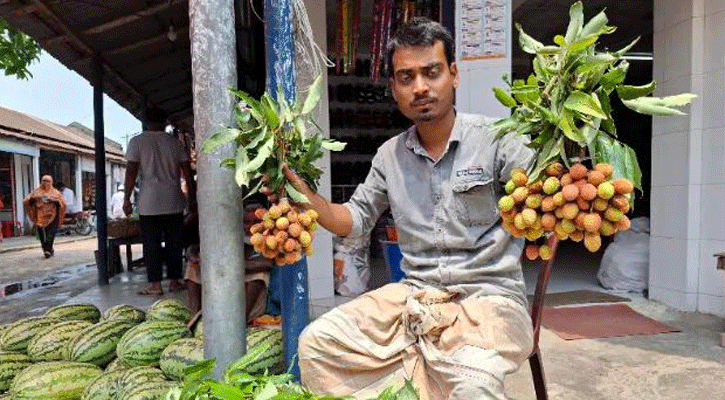 বাজারে অপরিপক্ব ও স্বাদহীন লিচু, চড়া দামে বিক্রি  